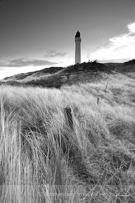 New years dawn mono - Top 20