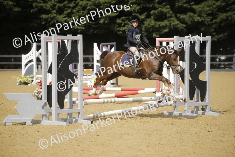 20250622-3674 - 50cm