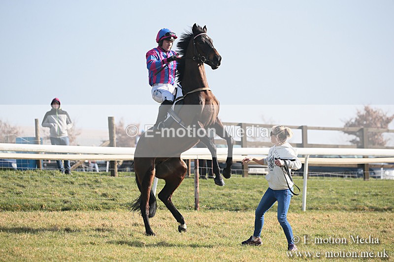 PtP 230219 14 - Vine & Craven Point-To-Point - Barbury 23/02/19