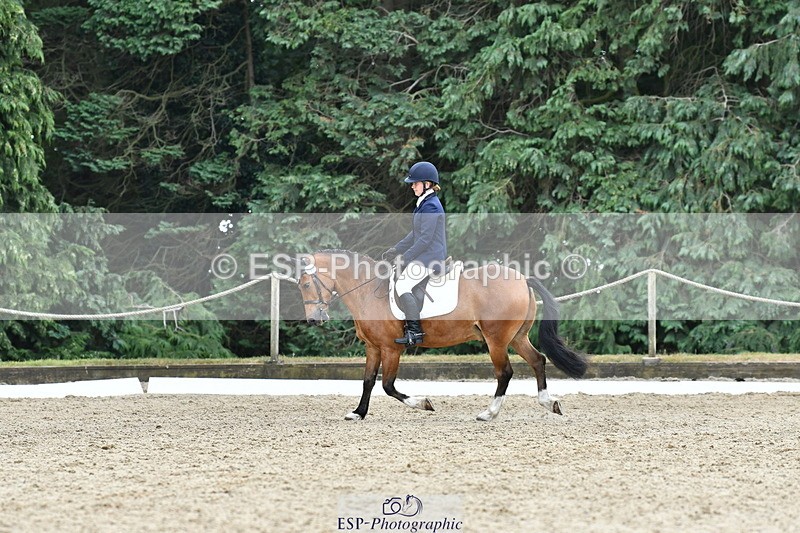 260801A-125719-04103 - Prelim Bronze Break - End