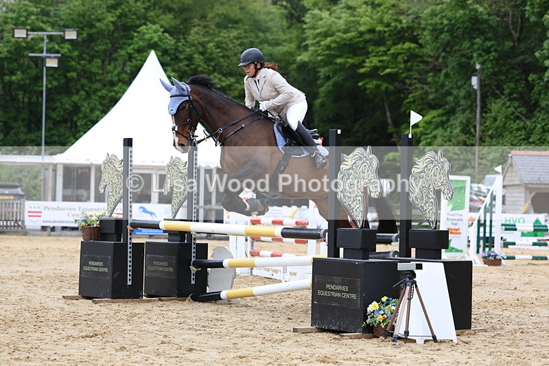 3E7A6126 - Class 4: Senior British Novice/90cm open