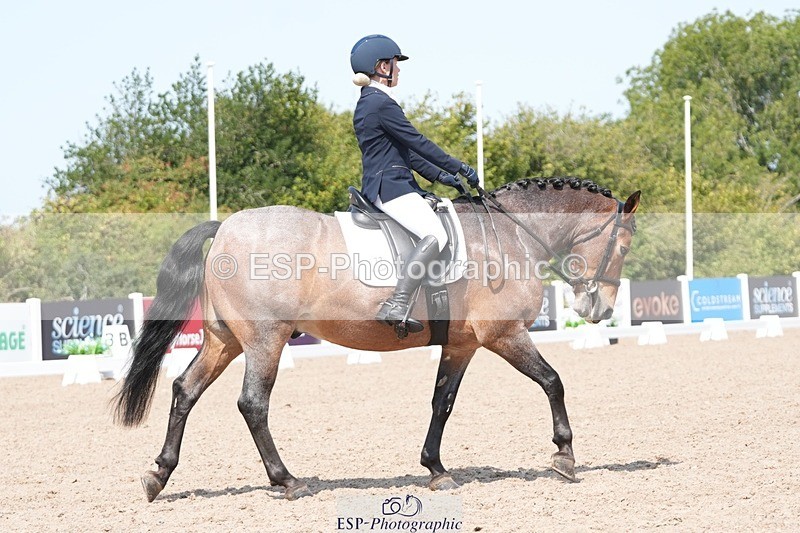 250817-125020-09431 - 177-Joanne.PengellyAshfield.Bob