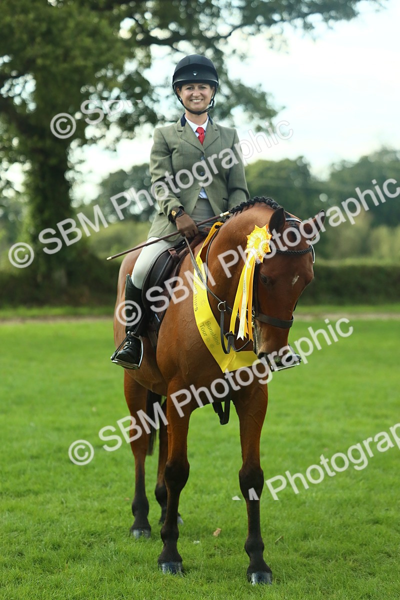 SBM_52215 - S33 - Working Hunter & Working Show Horse