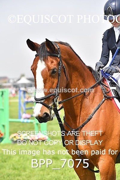 BPP_7075 - CLASS 3 RHS Fox Champ Qual (1.20m)