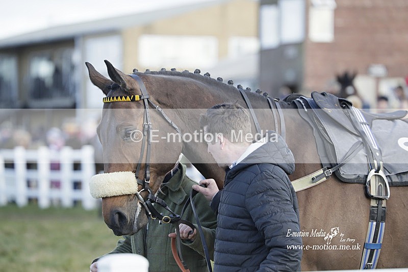 PtP 260223 1002 - South & West Wilts Point-to-Point Larkhill 26/02/23