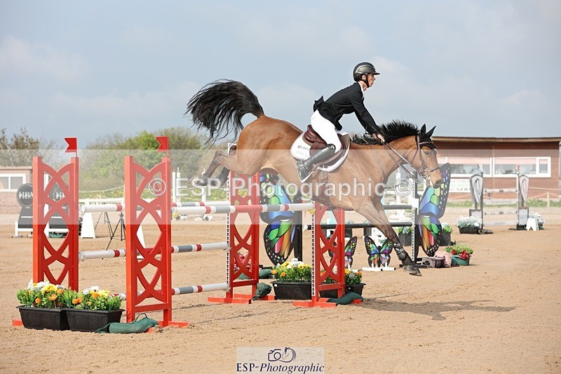 250424-101728-02937 - Cls 33 Young Horse 7yr old