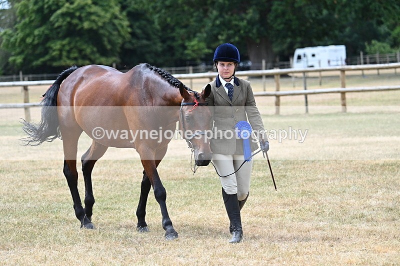 WJ7_2121 - Prettiest Mare Champs
