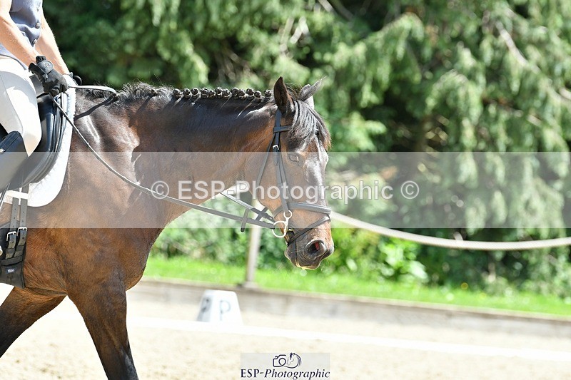 230623-135050-00853 - Cls 5 Elementary 43