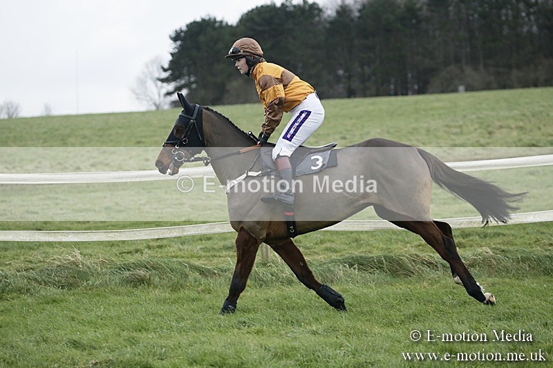 PtP 031217 79 - Hursley Hambledon Point-to-Point Larkhill 03/12/17