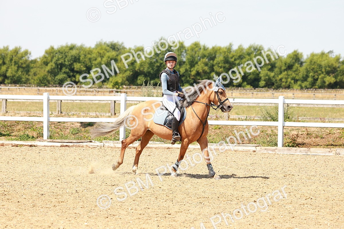 SBM_002174 - AE - 70cm