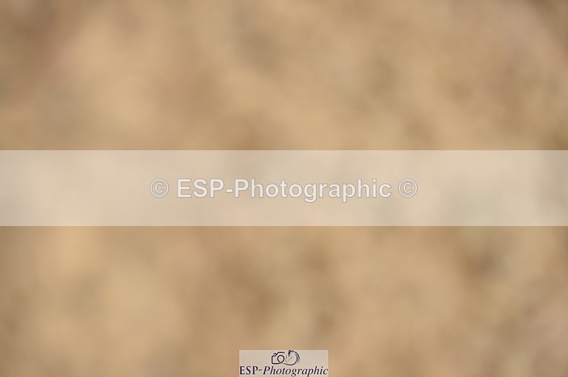 230916A-122616-04212 - Cls 23 Snr Discovery & 1m Open