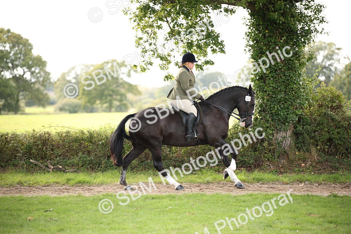 SBM_70380 - S66 - Hunter Ridden
