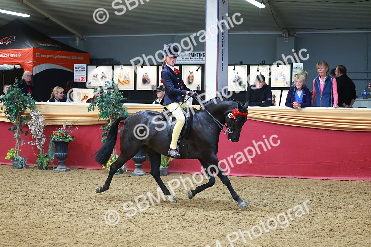 SBM_12725 - Class 103 - HOYS Veteran Qualifier - Ridden Pre Vet