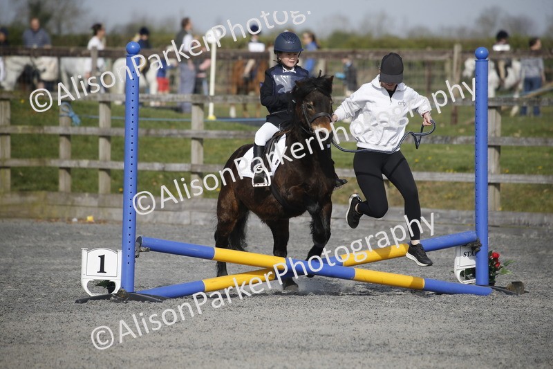20250412-0124 - Show Jumping