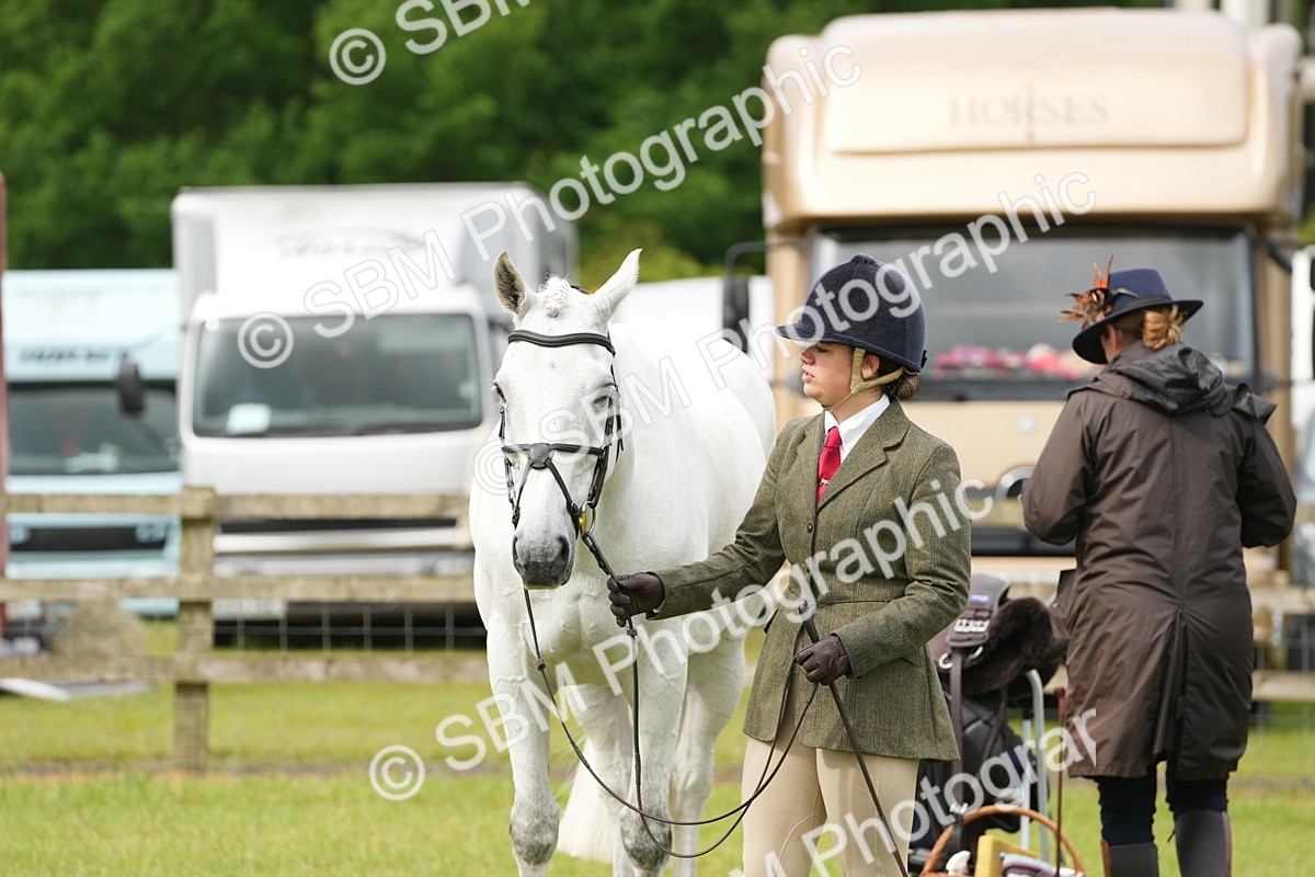 SBM_12720 - Class 97-98 - LIHS BSHA Rising Star Working Show Horse Hunter