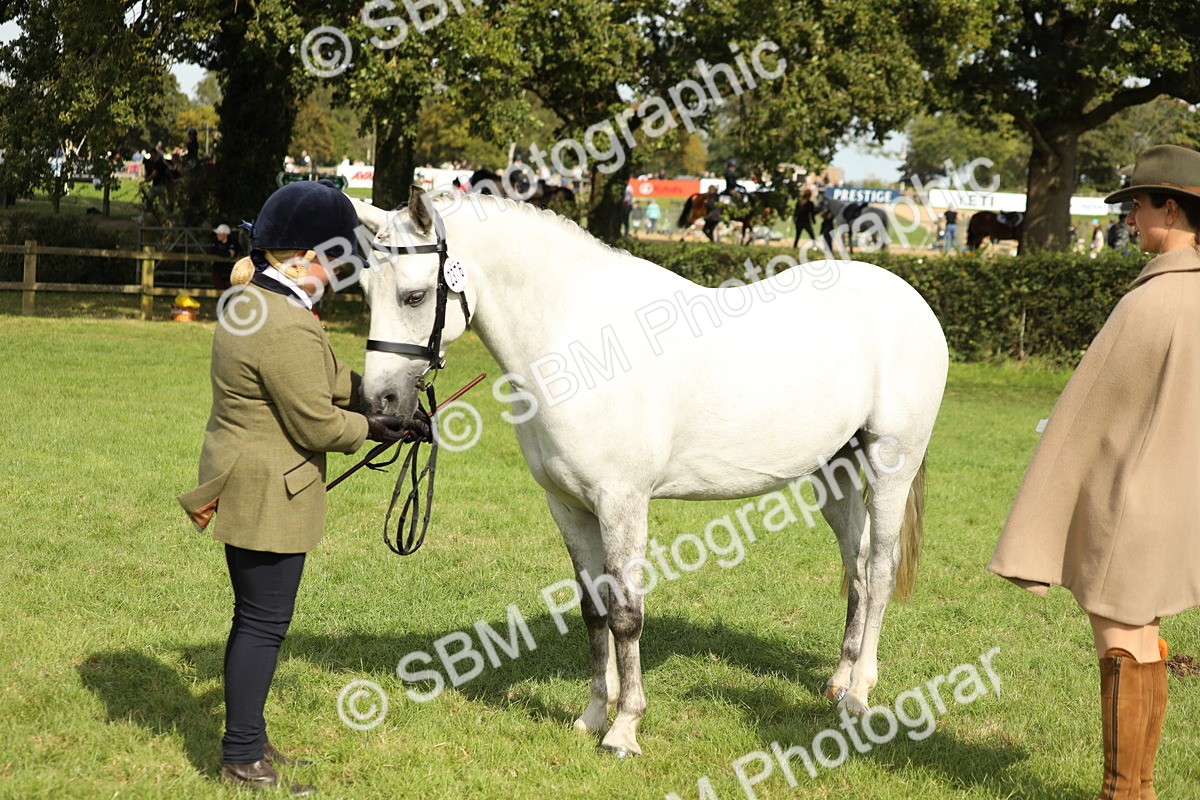 SBM_68623 - S40 - Junior Handler 9-12 Years