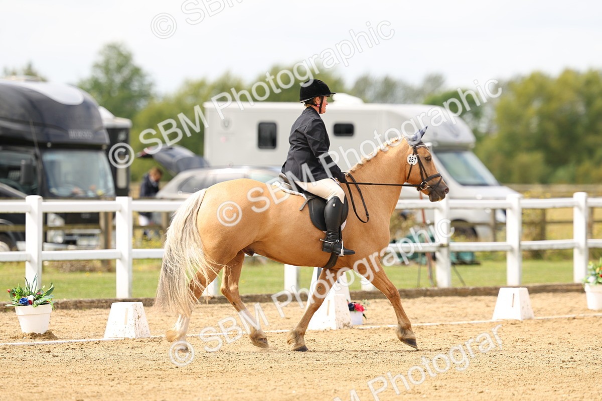 SBM_012216 - Class 2 - Prelim 19 11.39-12.56