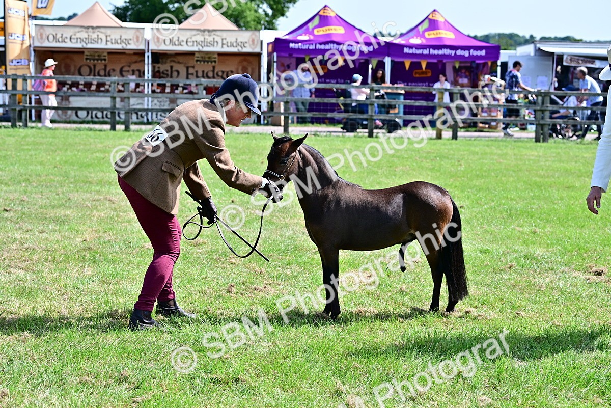 SBM_03598