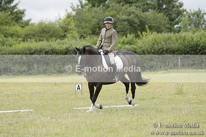 BVR160717-2084 - Class 4 & 5 Dressage 16/07/17