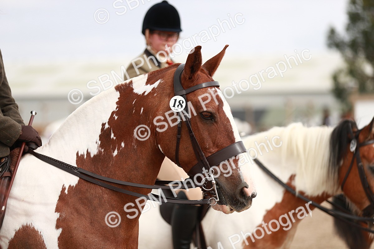 SBM_16744 - Class 214 Ridden Cob