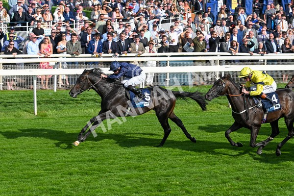 220825-Race 6-Frescobaldi-7776 - Race 6 4.45pm British Stallion Studs EBF Convivial Maiden Stakes
