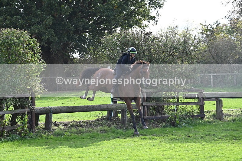 WJ7_0971 - Time 14:27 to 15:11