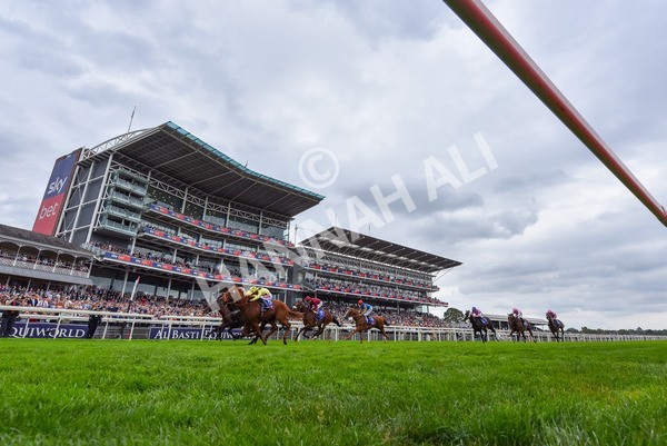 230825-Race 1-King Of Cities-9570 - Race 1 1.50pm Sky Bet Strensall Stakes