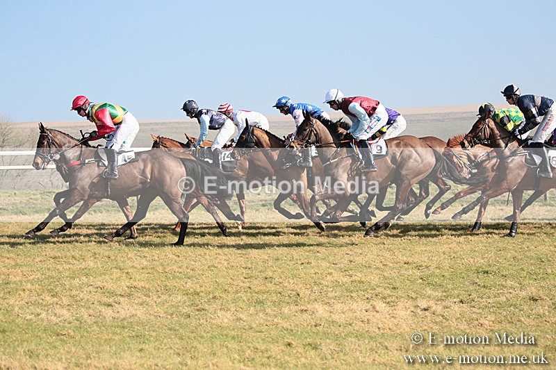 PtP 230219 65 - Vine & Craven Point-To-Point - Barbury 23/02/19