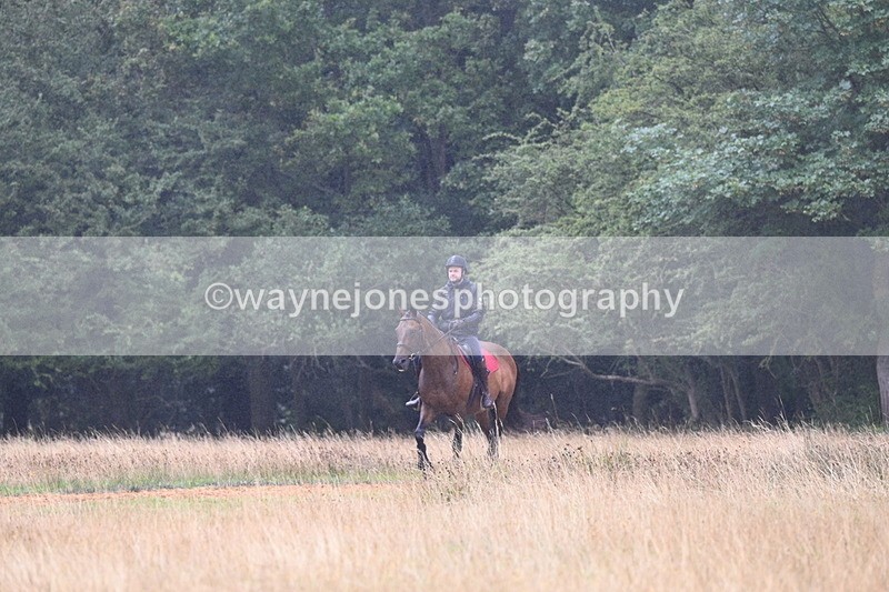 DSC_1155 - Time at Statue 11:54 to 12:12