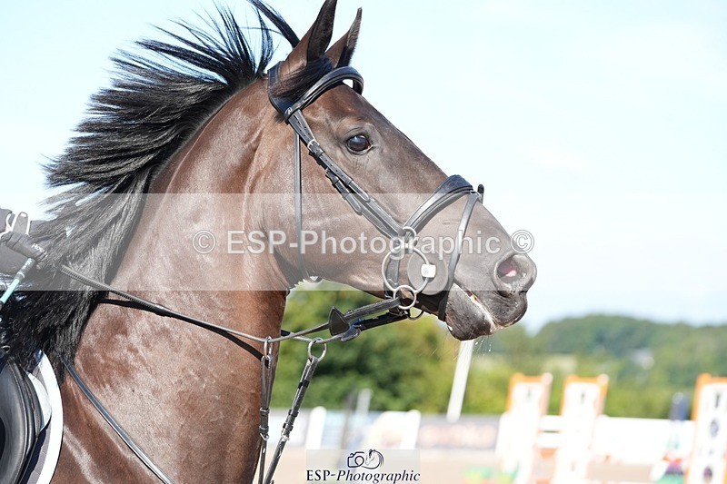 250802-090821-08249 - Cls 19 British Novice and 90cm Open