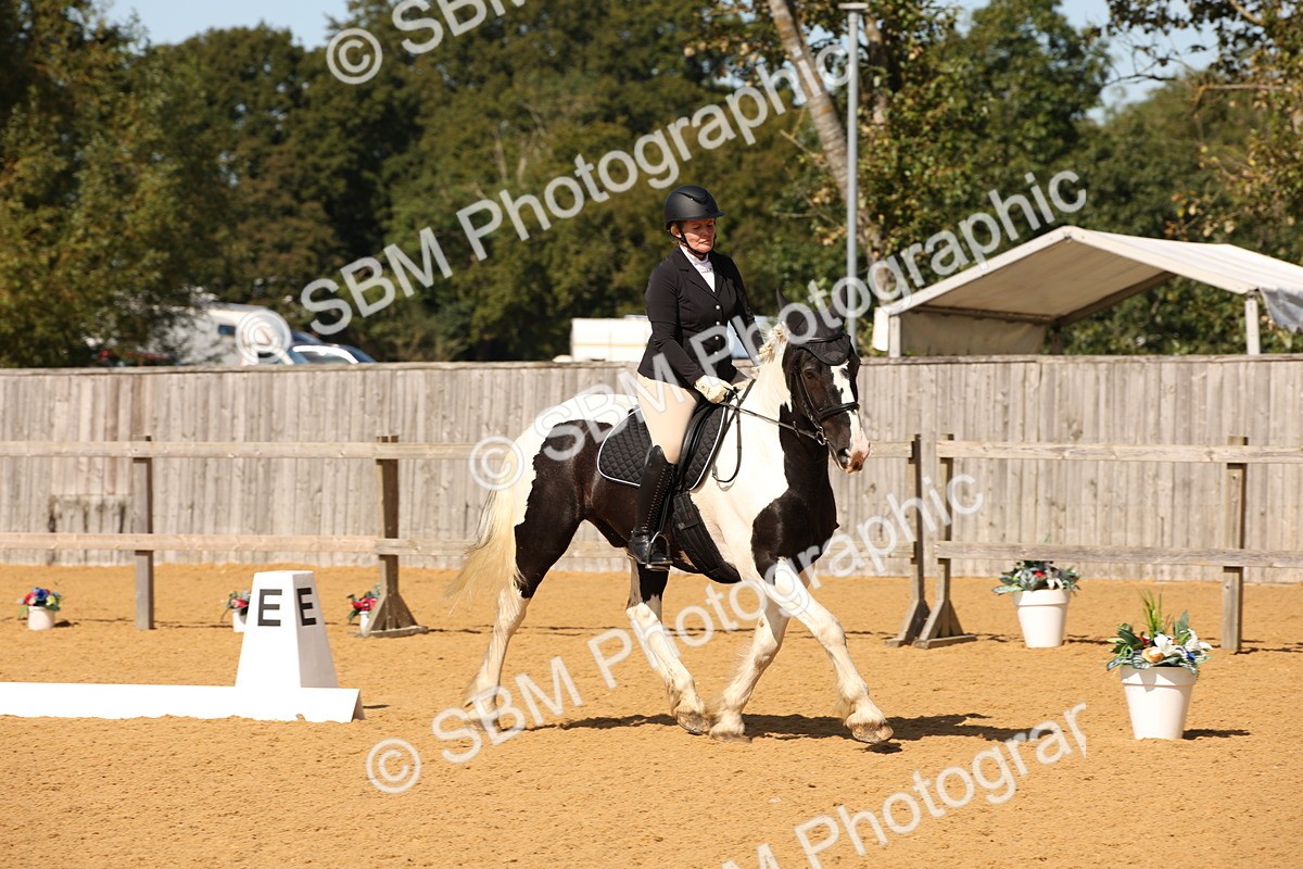 SBM_24123 - D5 - Small Tour Championship - Intro C