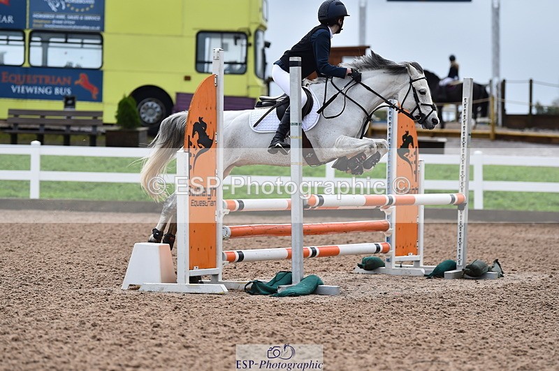 231029A-103550-02341 - 70cm Pony Intro