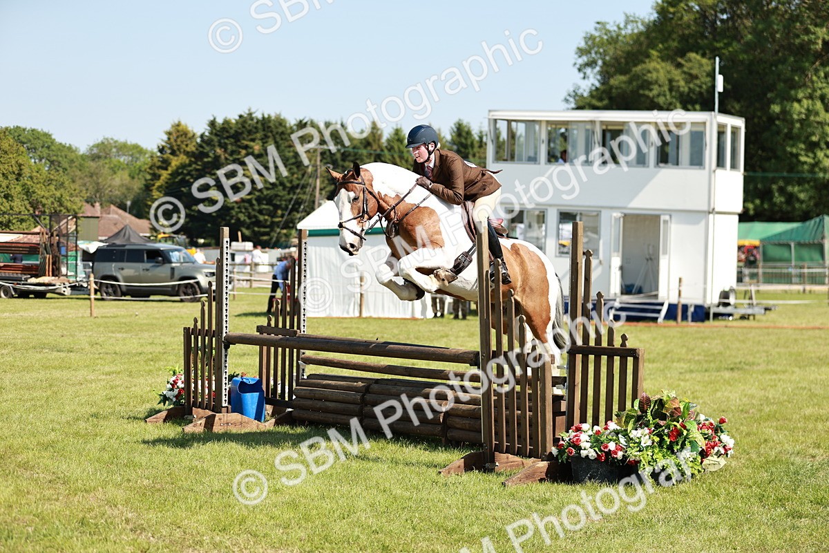 SBM_18790 - Class 114 - RIHS & SEIB Open Working Show Horse