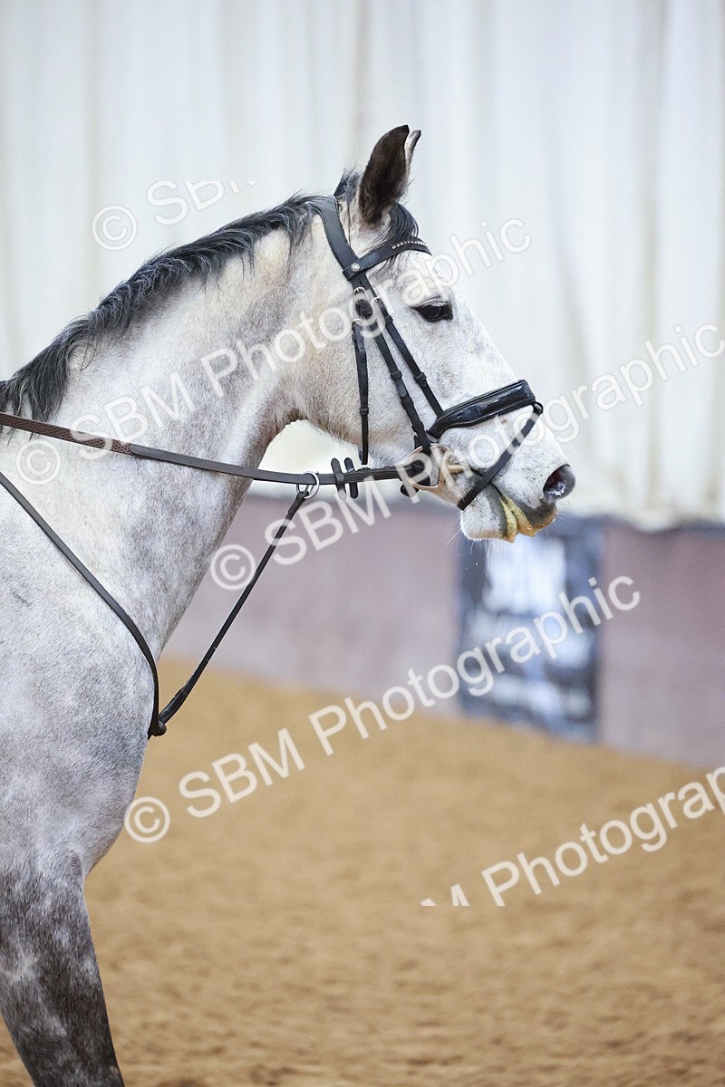 SBM_000298 - Class 1 - Clear Round