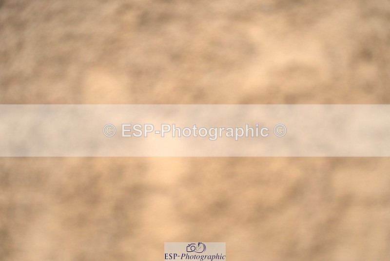 240317A-104118-04973 - Cls 25 Snr 1.20m Open