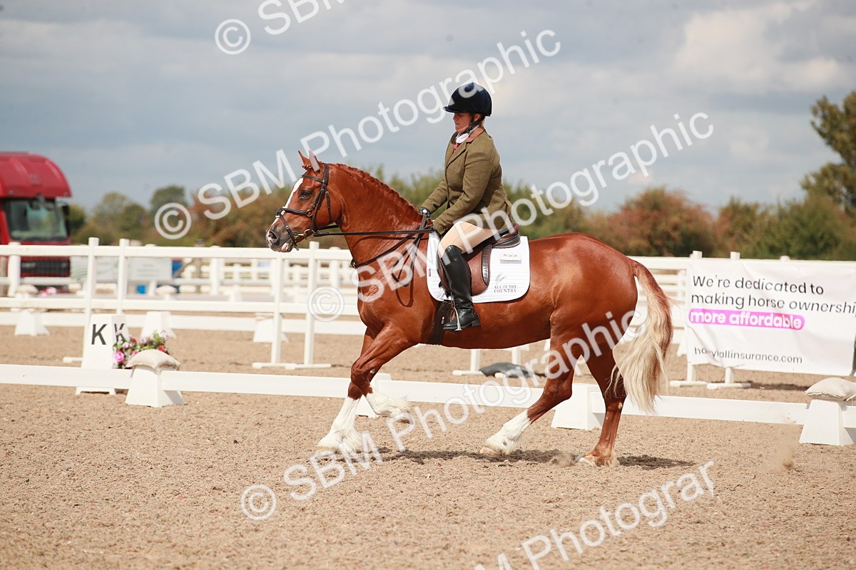 SBM_05865 - Class 32 - Novice 1