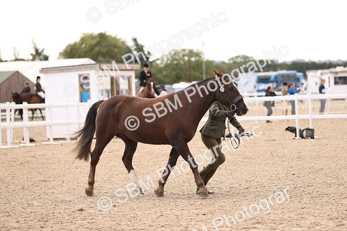 SBM_10386 - Class 405 - IH Show Cob