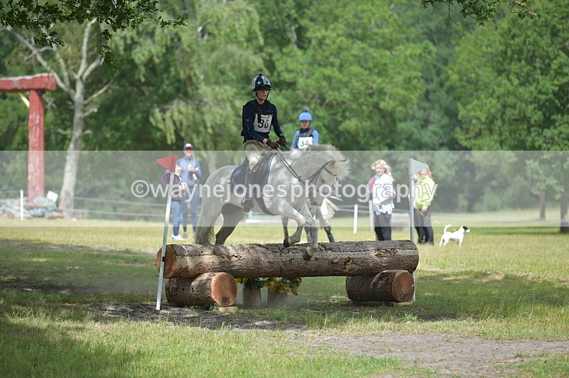 NGP_7826 - Time 11:28 to 11:38