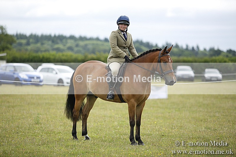 BVR160717-281 - Ring 1 BVRC Show 16/07/17