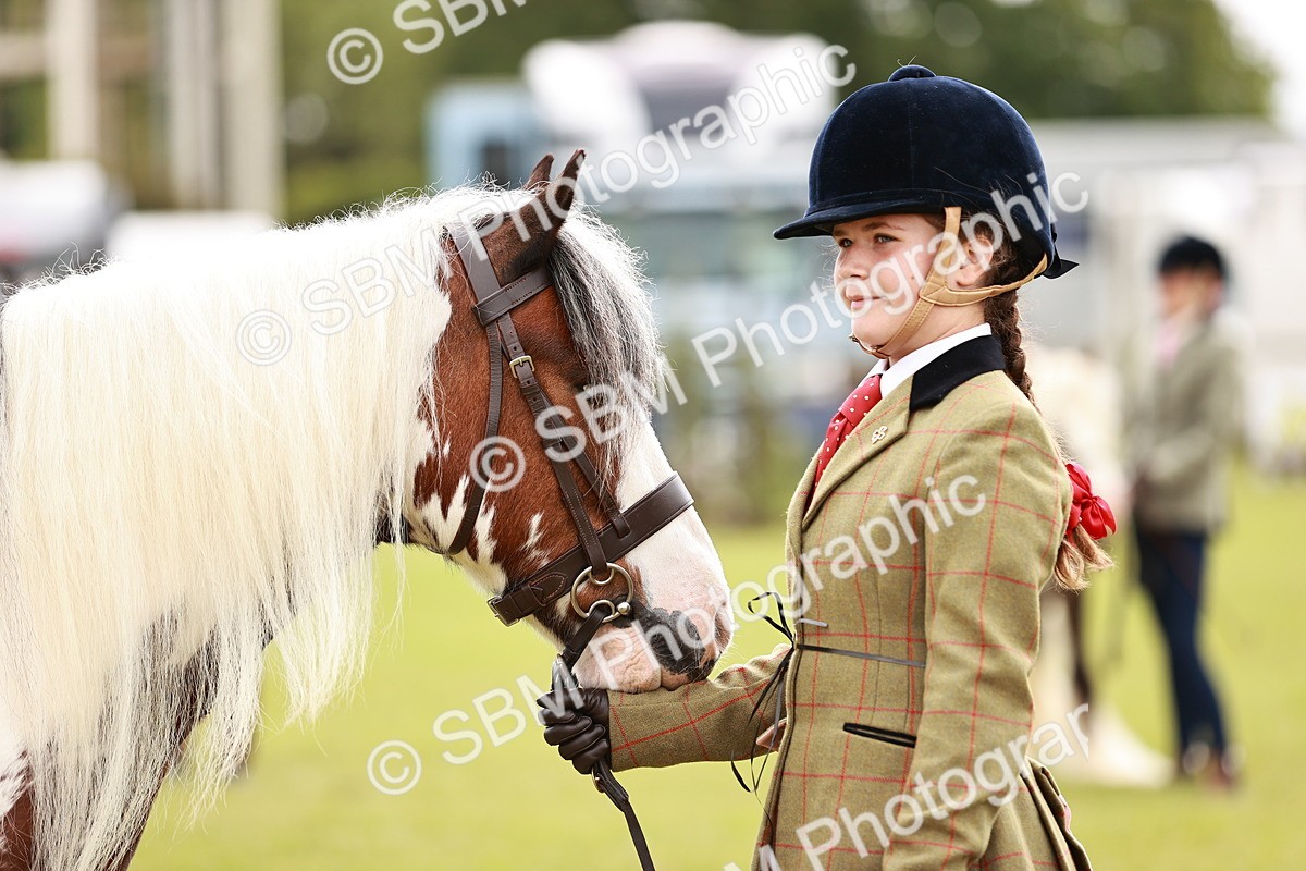 SBM_06061 - Class 39-41 TGCA In Hand and Ridden