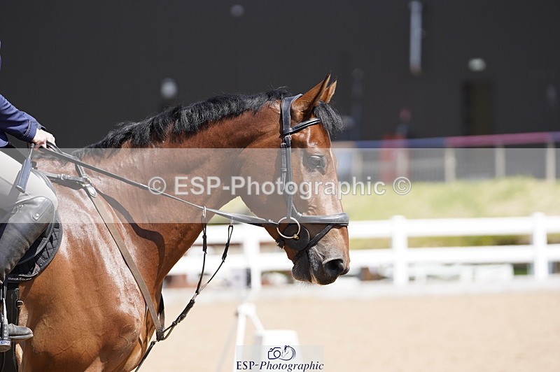 230527A-122150-04162 - Cls 21 85cm Amateur Quali