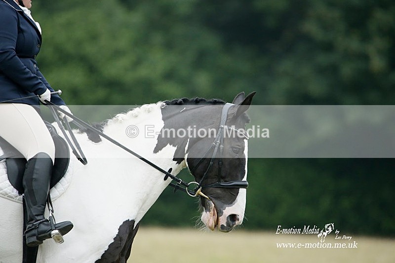 BVRC 030721 514 - Bourne Valley Riding Club Dressage 03/07/21
