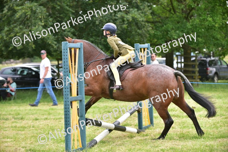 20260614-2681 - Class 13 - Pony Club Pony