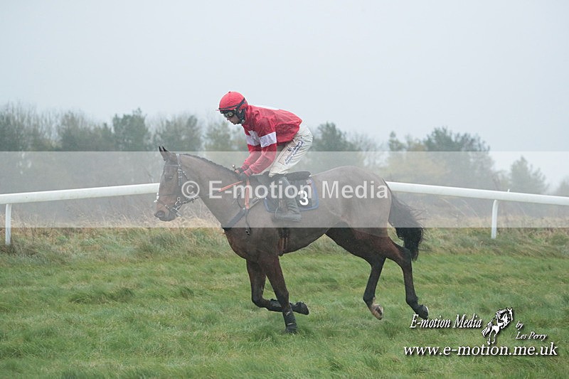 PtP 101223 381 - New Forest Hounds PtP Larkhill 10/12/23