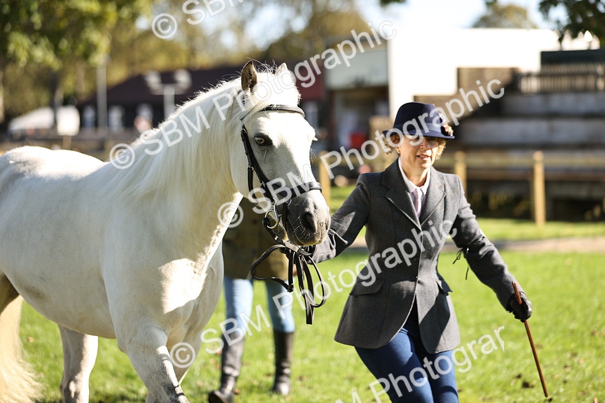 SBM_15919 - S1 - TSR in Hand Horse & Pony Showing