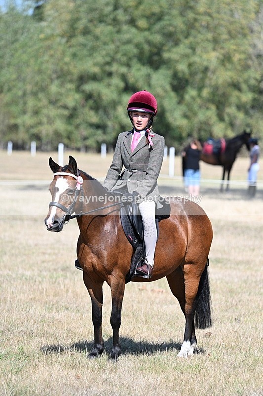 WJ7_4111 - Class 9 Mountain & Moorland Ridden