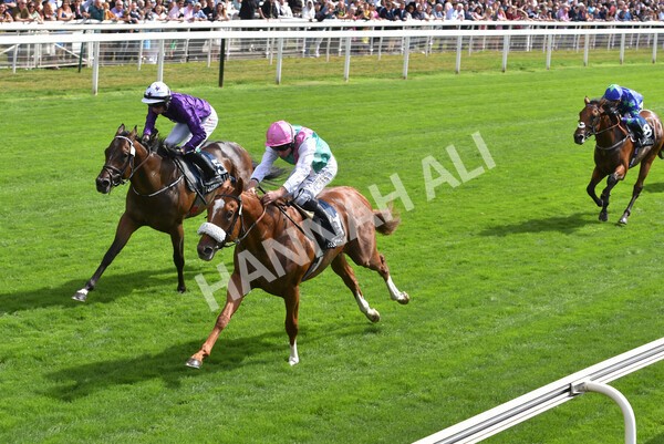 yr17082022r2-37 - Race 2 2.25pm Tattersalls Acomb Stakes