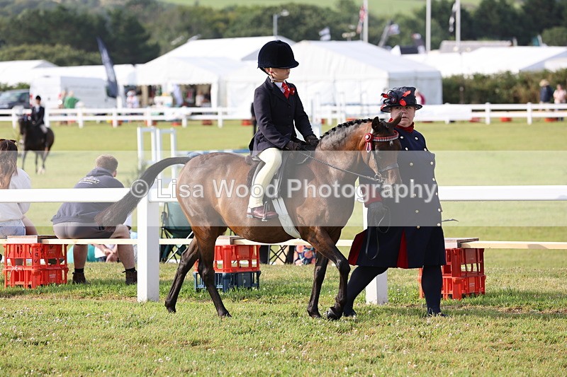 JPP_0160 - Class 14: Cornish Combination Leading Rein