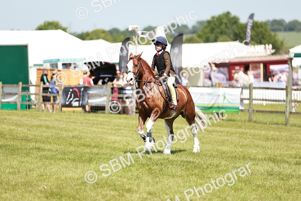 SBM_15599 - Class 108-109 - BSPS LIHS Open Gradle & Nursery Stakes