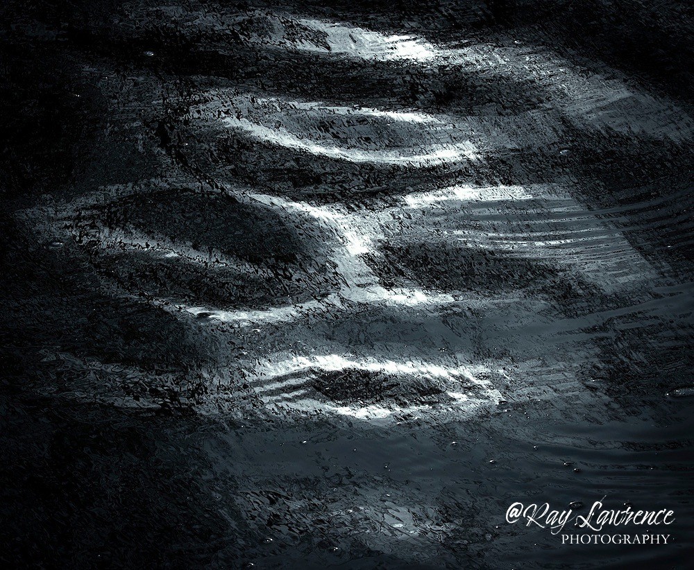 River Alien_RLP0048 - Double Take